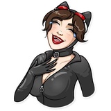 Catwoman sticker pack