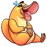 Cooper the Platypus sticker pack