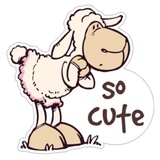 Cute Sheep