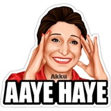 Hindi Funny Meme sticker pack