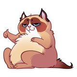 Kooky Cat sticker pack