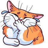 Meme Cats sticker pack