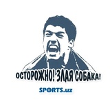 Sticker 26