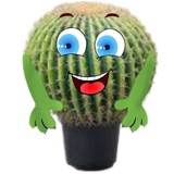 Cactus sticker pack