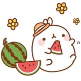 Molang sticker pack