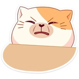 Sticker 8