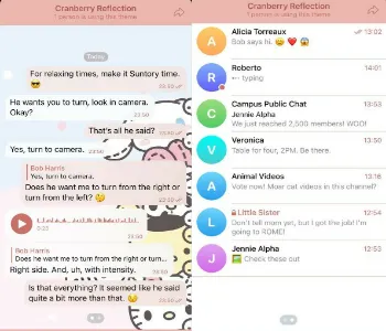 Cranberry Reflection