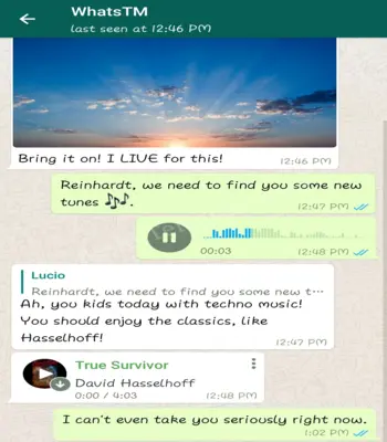 WhatsApp Theme preview