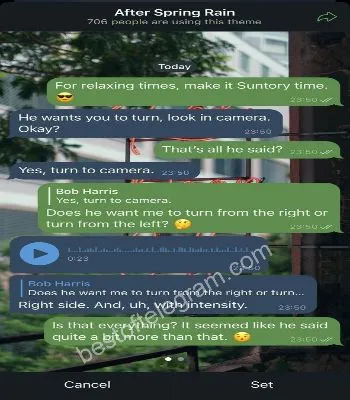 After Spring Rain preview