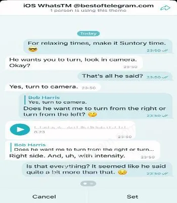 iOS WhatsApp Theme preview